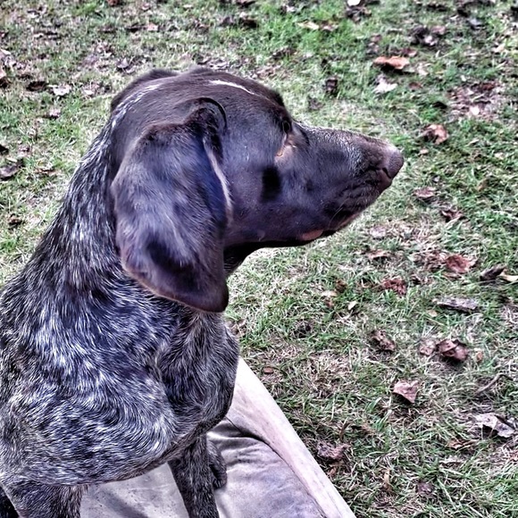 Meet your Posher, Garrette - Picture 1 of 1